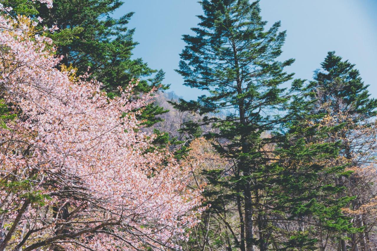 奥定山渓温泉 佳松御苑 5* 札幌市
